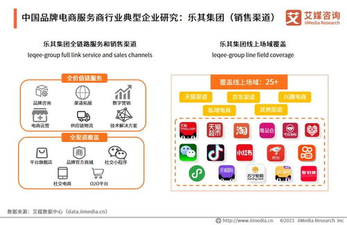 2023年中國品牌電商服務(wù)商行業(yè)研究報(bào)告 信息咨詢服務(wù)洞察